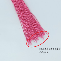  第7張的照片
