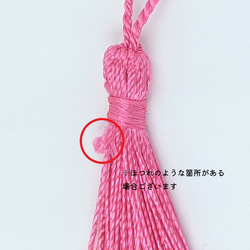  第5張的照片
