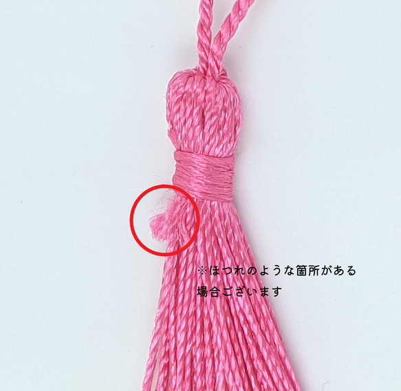  第5張的照片