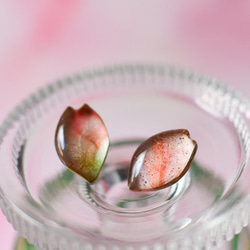 「桜の便り 」耳飾り　金具選択可　 1枚目の画像
