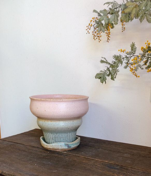 陶器の植木鉢　「ピンク」＋「ミントグリーン」　受け皿付　PARTー２　4号サイズ 多肉植物塊根植物 3枚目の画像
