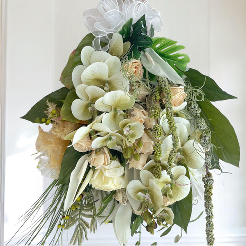 光触媒 スワッグ フラワーリース 観葉植物 贈り物 プレゼント 胡蝶蘭