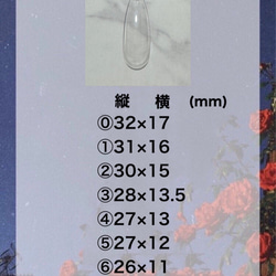 ネイルチップ リボン 韓国 シンプル ガーリー 氷ネイル うるうる ワンホン 5枚目の画像