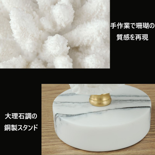 オブジェ 珊瑚 サンゴ 白 置物 オーナメント おしゃれ かわいい オブジェ 珊瑚 サンゴ 白 置物 オーナメント おしゃれ かわいい