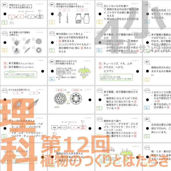 中学受験 暗記カード【4年上 社会・理科 11-19回】組分けテスト対策 予習シリーズ 11枚目の画像