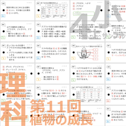 中学受験 暗記カード【4年上 社会・理科 11-19回】組分けテスト対策 予習シリーズ 10枚目の画像