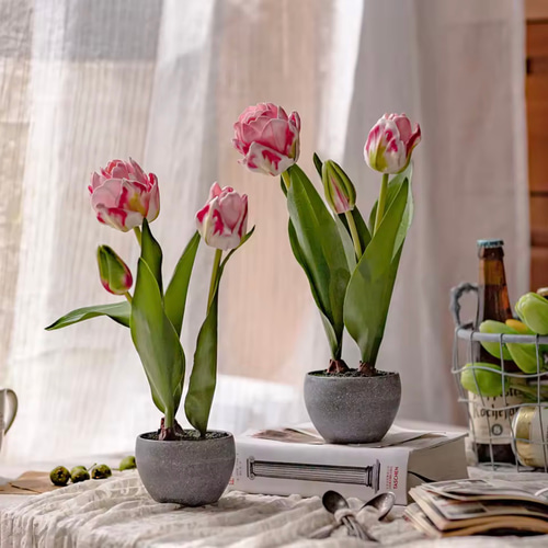 枯れないチューリップの鉢植えアレンジ｜リアルな球根付きチューリップ