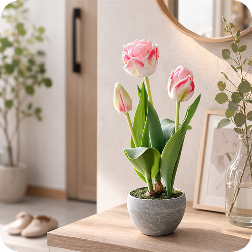 枯れないチューリップの鉢植えアレンジ｜リアルな球根付きチューリップ