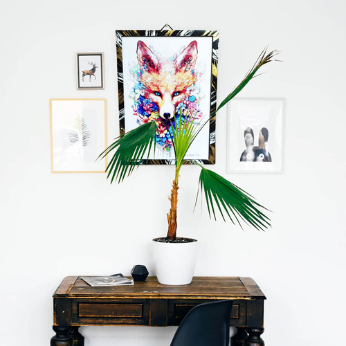 狐 - A3サイズオリジナルフレーム入りポスター お面 fox イラスト 絵