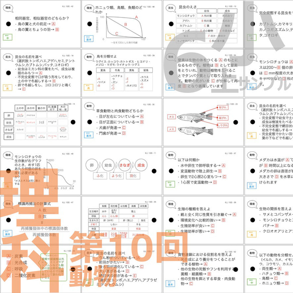 中学受験 暗記カード【6年上 社会・理科 10-17回】組分けテスト対策 予習シリーズ 9枚目の画像