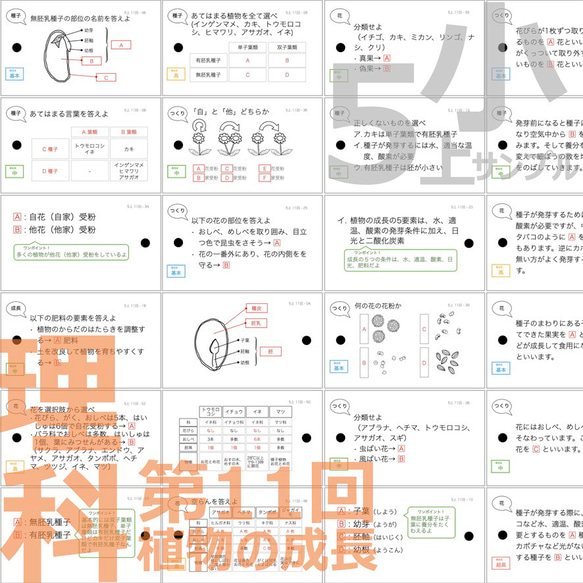 中学受験 暗記カード【5年上 セット 社会・理科 11-19回】組分けテスト対策 予習シリーズ 10枚目の画像