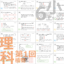 中学受験 暗記カード【6年上 理科全セット1-17回】 予習シリーズ 組分けテスト対策 2枚目の画像