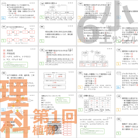 中学受験 暗記カード【6年上 理科全セット1-17回】 予習シリーズ 組分けテスト対策 2枚目の画像