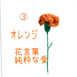 カーネーション　１本　ラッピング　選べるお色　ブーケあみぐるみ　かぎ針編み　枯れない花　母の日　受注製作 5枚目の画像