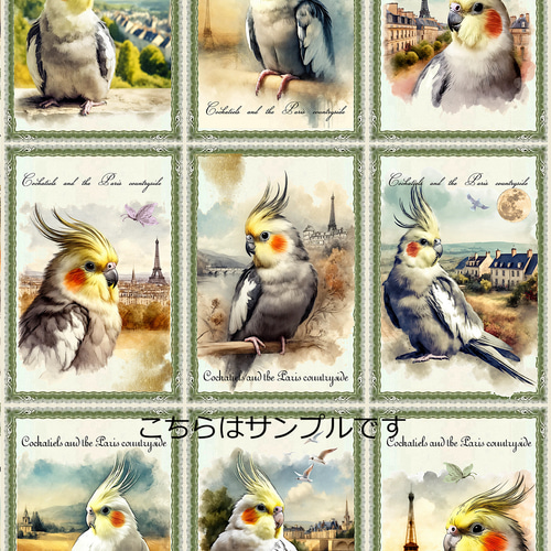 オリジナル 生地 ブロックデザイン パネル生地 鳥 オカメインコ