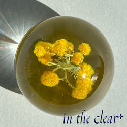 植物標本　ミモザ　黄色　レジン　４センチ球体 4枚目の画像