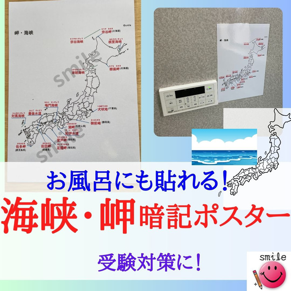 追蹤+海報套裝社會學地理套裝國中考高中考小學生社會學沐浴海報居家學習 第18張的照片