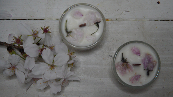 桜プチグラスキャンドル 2枚目の画像