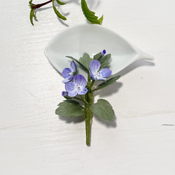 布花ちっちゃなブルーの小花が可愛い野の花。オオイヌノフグリのブローチ 4枚目の画像