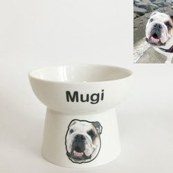 楽天市場】ペット フードボウル 2個セット 犬用 猫用 食器台つき