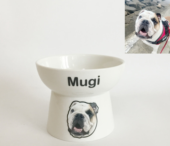 受注制作] 名前入り ペットフードボウル オリジナル 似顔絵 エサ入れ