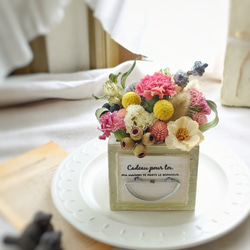 ドライフラワープランター- carnations - 【母の日フラワー2024】 1枚目の画像