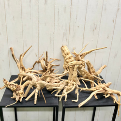 再入荷！ 個性派揃い マレーシア産 枝流木 ブランチ ナチュラル