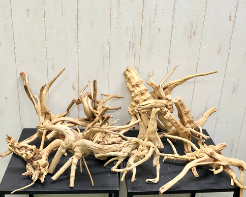 激レア流木 f41736b376741e069ff53958e73c79