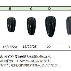 ブラックスワンのネイルチップ 3枚目の画像