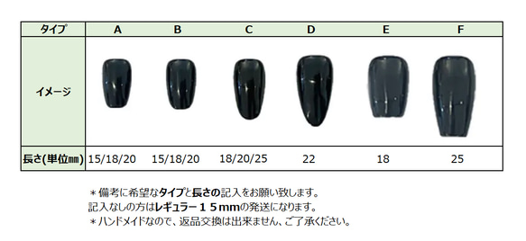 ブラックスワンのネイルチップ 3枚目の画像