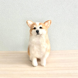 羊毛フェルトのふんわりコーギー　犬のぬいぐるみ　 1枚目の画像