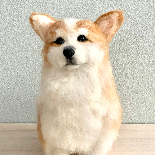 羊毛フェルトのふんわりコーギー 犬のぬいぐるみ 羊毛フェルト