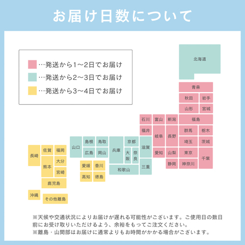 アイシングクッキー【数字や色が自由に選べる♡セミオーダー】猫