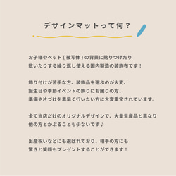 菖蒲花のアーチボードマット 端午の節句 こどもの日 こいのぼり　日本製 10枚目の画像