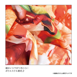 菖蒲花のアーチボードマット 端午の節句 こどもの日 こいのぼり　日本製 13枚目の画像