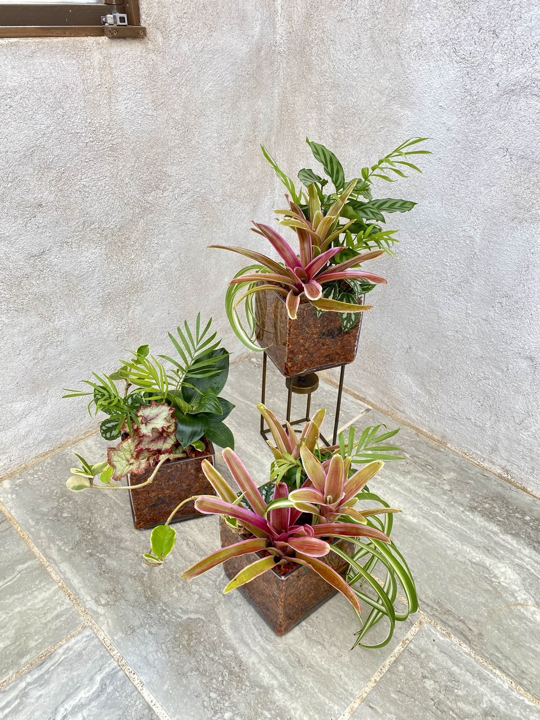 【ギフトにもおすすめ！】ガラスキュービックの観葉植物寄せ植え