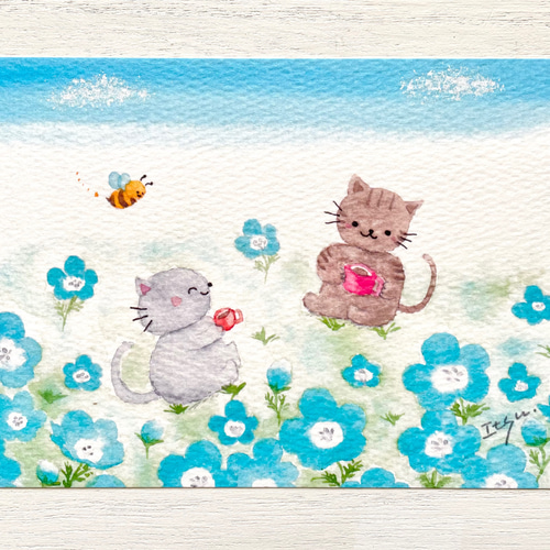 透明水彩画 3枚セット「ネモフィラ畑でお茶しましょ」イラスト