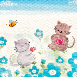 透明水彩画　3枚セット「ネモフィラ畑でお茶しましょ」イラスト　ポストカード　猫　ねこ　ネコ　春　花　母の日　父の日　入学 2枚目の画像