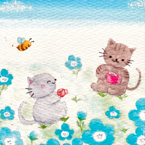 透明水彩画 3枚セット「ネモフィラ畑でお茶しましょ」イラスト