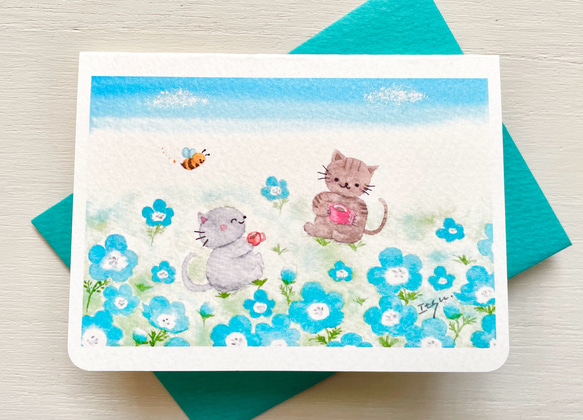 小夏屋　ネゴラ　すいかラムネ2セットとイラストカード 3月23日（日）発売予定 小夏屋新商品のお知らせ ネゴラ 桜