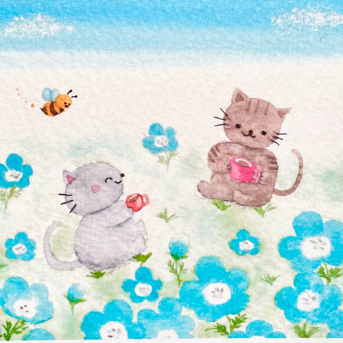 透明水彩画 ミニカード2枚セット「ネモフィラ畑でお茶しましょ