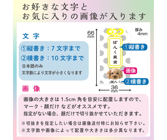 写真で作る うちのこ オリジナル お守り キーホルダー 愛犬 愛猫 ペット 犬 猫 推し活 うちの子 3枚目の画像