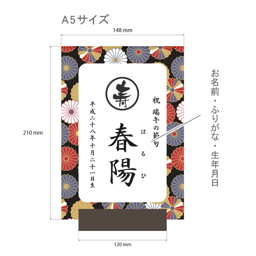 NEW【端午の節句 アクリル 名前札 】菊の紋 A5サイズ 名入れ