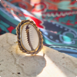 【14～15号】カウリーシェル ring 真鍮 貝殻 タカラガイ /大ぶりリング 1枚目の画像