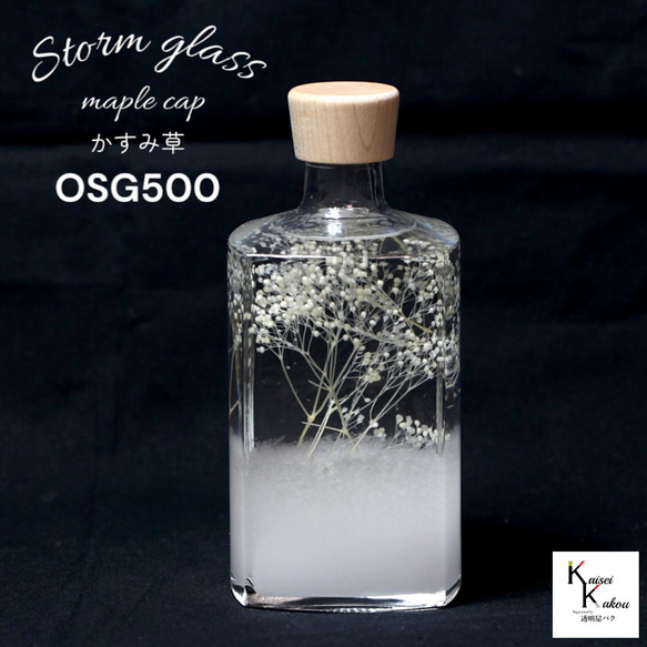 了解天氣！ 「風暴草與霞草楓木帽 OSG500」氣像管氣象聖誕樹菲茨 第1張的照片