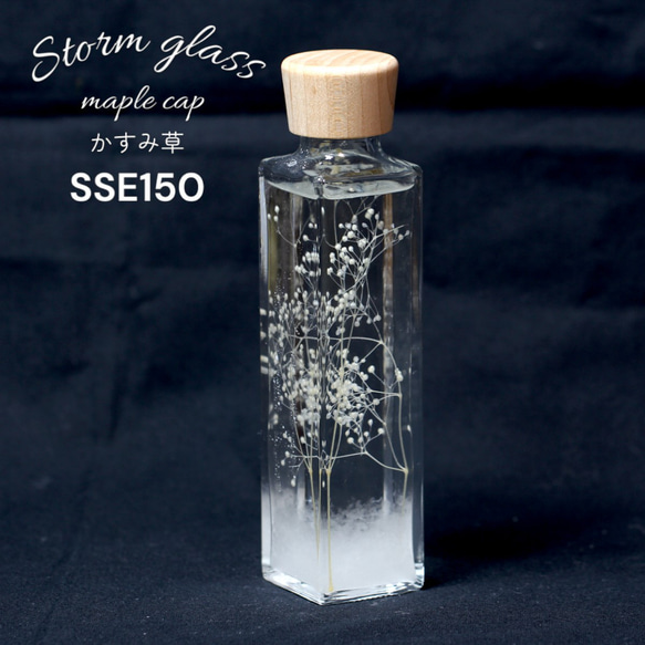 了解天氣！ 「風暴草與霞草楓木帽 SSE150」氣像管氣象聖誕樹菲茨 第1張的照片