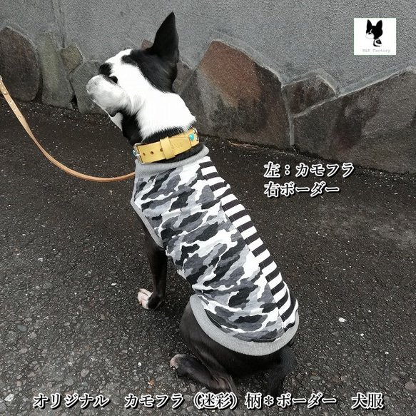 多頭飼いに・アシンメトリーシリーズ・カモフラ（迷彩）柄＊ボーダー犬服2410　#ボストンテリア #フレンチブルドッグ 1枚目の画像