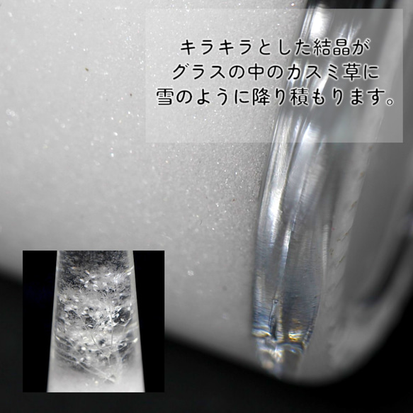天気が分かる！「カスミ草入りストームグラス メープルキャップ SSE200」 天気管 天気 クリスマス ツリー フィッツ 7枚目の画像