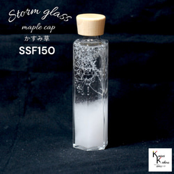 了解天氣！ 「風暴草與霞草楓木帽 SSF150」氣像管氣象聖誕樹菲茨 第1張的照片