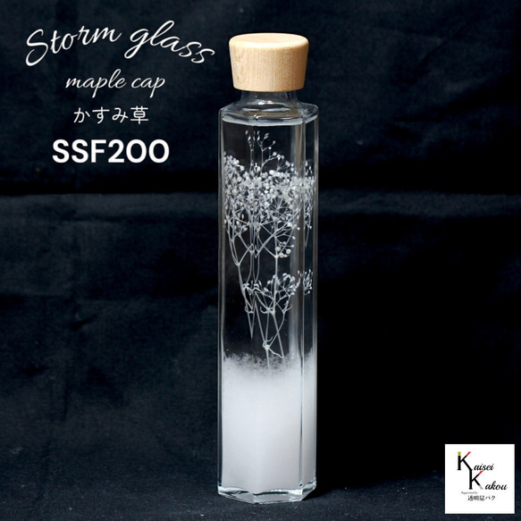 了解天氣！ 「風暴草與霞草楓木帽 SSF200」氣像管氣象聖誕樹菲茨 第1張的照片